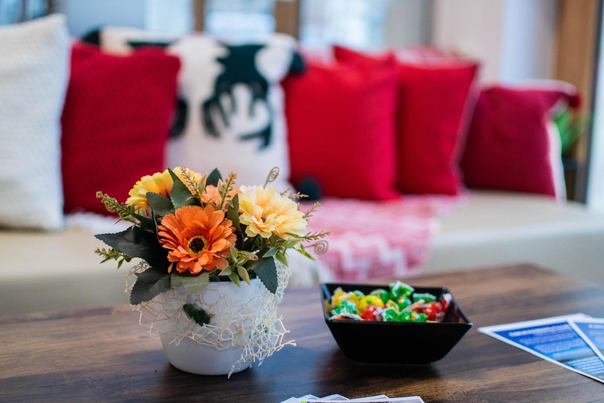 Hotel Urban Baia Mare Ngoại thất bức ảnh