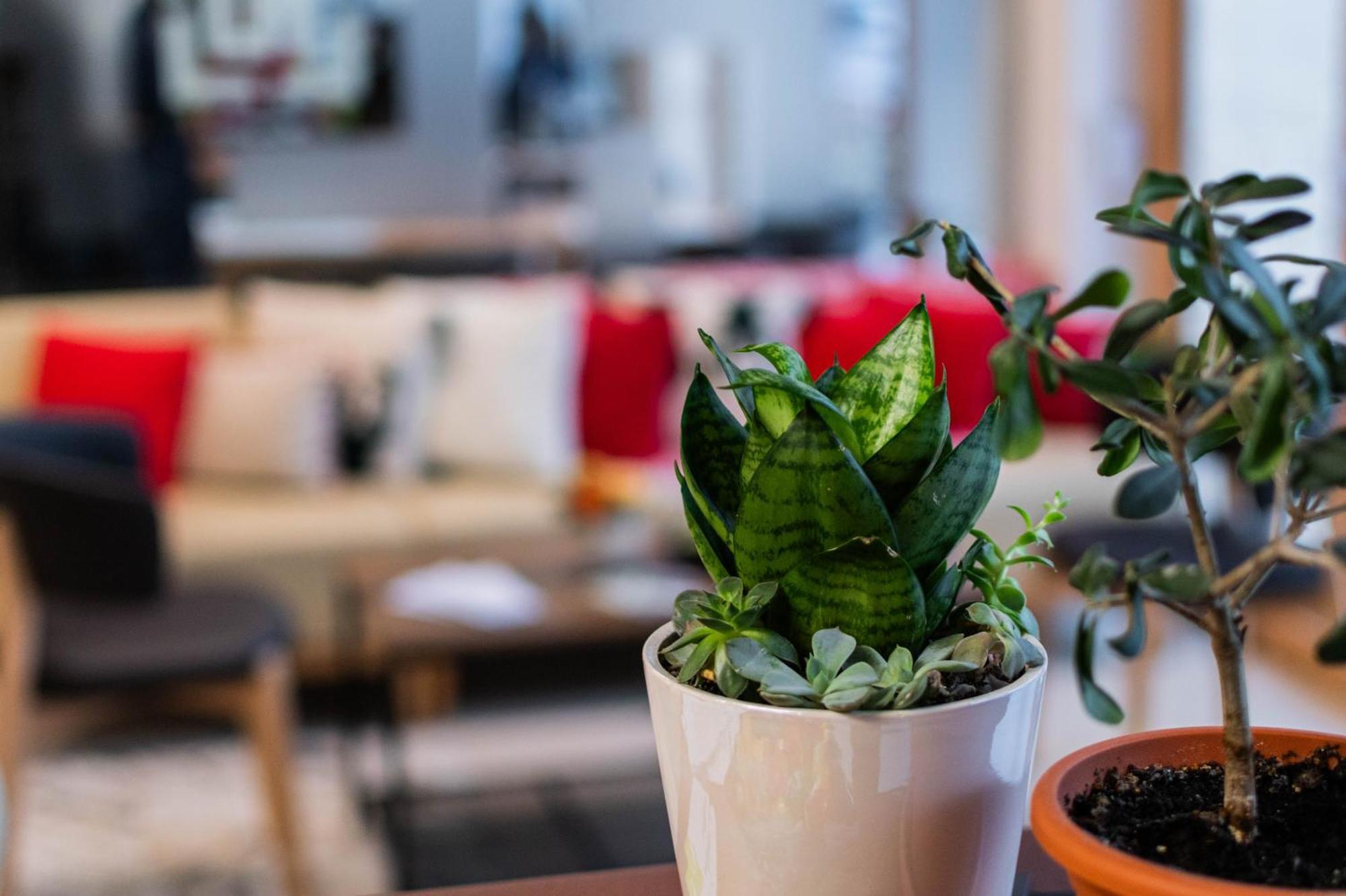 Hotel Urban Baia Mare Ngoại thất bức ảnh